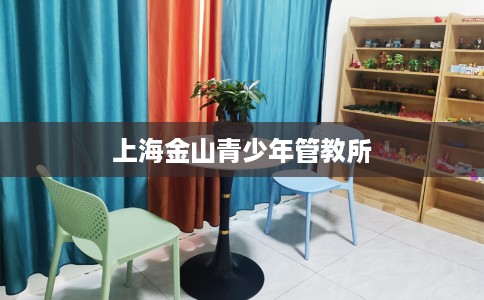 上海金山青少年管教所