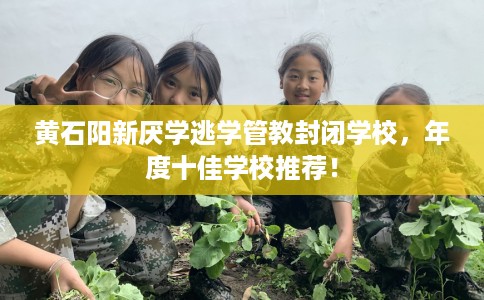 黄石阳新厌学逃学管教封闭学校，年度十佳学校推荐！