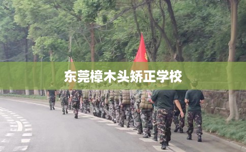 东莞樟木头矫正学校