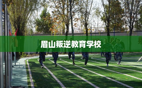 眉山叛逆教育学校