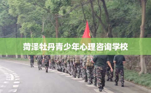 菏泽牡丹青少年心理咨询学校