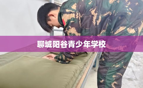 聊城阳谷青少年学校