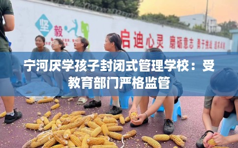 宁河厌学孩子封闭式管理学校：受教育部门严格监管