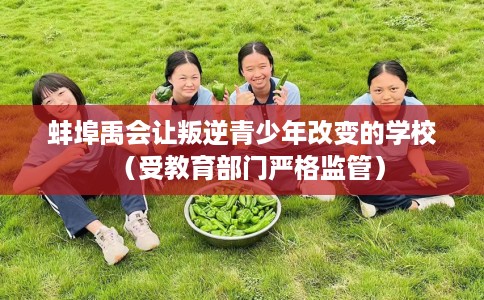 蚌埠禹会让叛逆青少年改变的学校(受教育部门严格监管) 蚌埠禹会让叛逆青少年改变的学校(受教育部门严格监管)