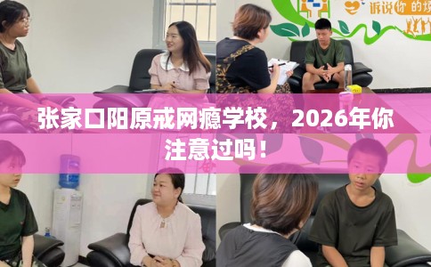张家口阳原戒网瘾学校，2026年你注意过吗！