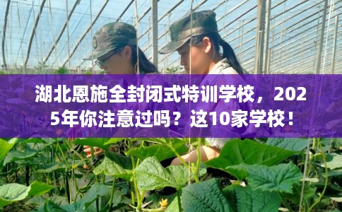 湖北恩施全封闭式特训学校，2025年你注意过吗？这10家学校！