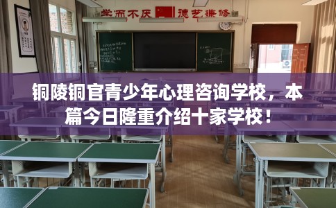 铜陵铜官青少年心理咨询学校,本篇今日隆重介绍十家学校! 铜陵铜官青少年心理咨询学校,本篇今日隆重介绍十家学校!