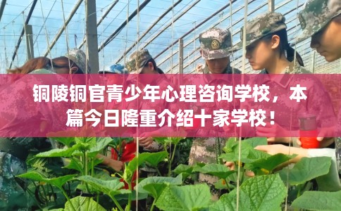 铜陵铜官青少年心理咨询学校,本篇今日隆重介绍十家学校! 铜陵铜官青少年心理咨询学校,本篇今日隆重介绍十家学校!