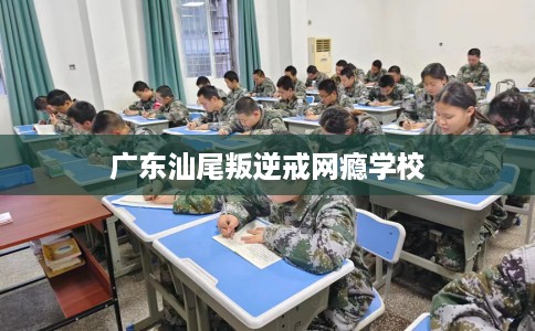 广东汕尾叛逆戒网瘾学校