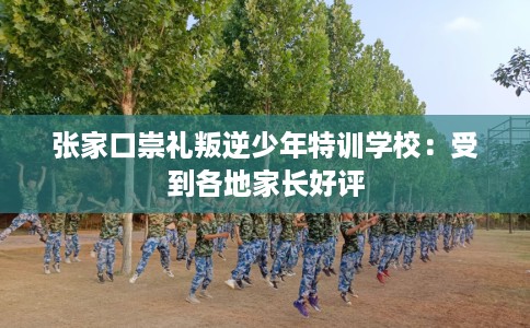 张家口崇礼叛逆少年特训学校：受到各地家长好评
