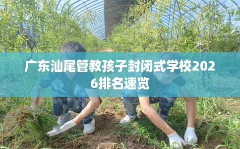 广东汕尾管教孩子封闭式学校2026排名速览