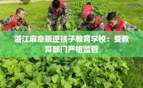湛江麻章叛逆孩子教育学校：受教育部门严格监管