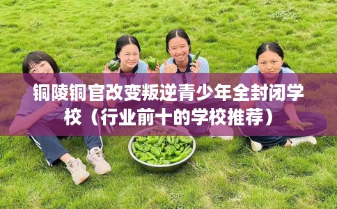 铜陵铜官改变叛逆青少年全封闭学校（行业前十的学校推荐）