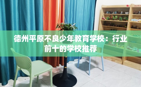 德州平原不良少年教育学校：行业前十的学校推荐