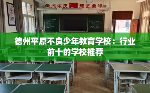 德州平原不良少年教育学校：行业前十的学校推荐