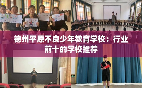 德州平原不良少年教育学校：行业前十的学校推荐