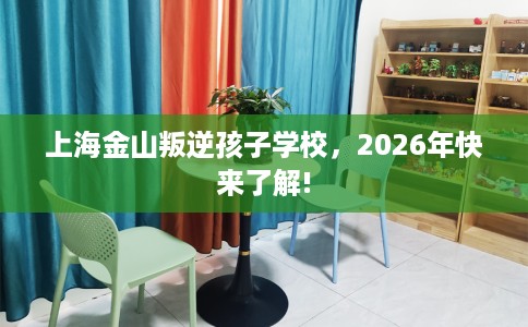 上海金山叛逆孩子学校,2026年快来了解! 上海金山叛逆孩子学校,2026年快来了解!