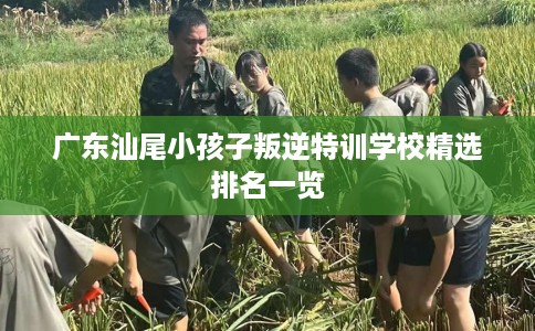 广东汕尾小孩子叛逆特训学校精选排名一览 广东汕尾小孩子叛逆特训学校精选排名一览