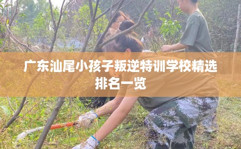 广东汕尾小孩子叛逆特训学校精选排名一览 广东汕尾小孩子叛逆特训学校精选排名一览