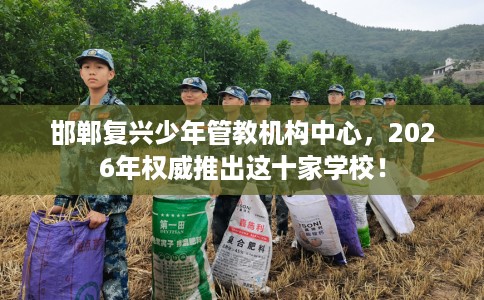 邯郸复兴少年管教机构中心，2026年权威推出这十家学校！