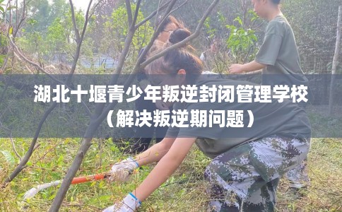 湖北十堰青少年叛逆封闭管理学校（解决叛逆期问题）