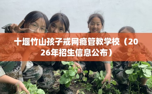 十堰竹山孩子戒网瘾管教学校（2026年招生信息公布）