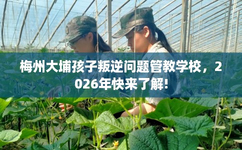 梅州大埔孩子叛逆问题管教学校,2026年快来了解! 梅州大埔孩子叛逆问题管教学校,2026年快来了解!