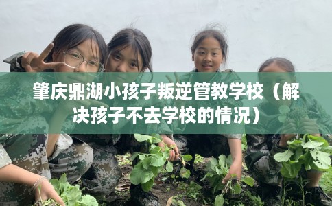 肇庆鼎湖小孩子叛逆管教学校（解决孩子不去学校的情况）