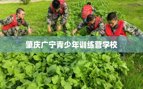 肇庆广宁青少年训练营学校