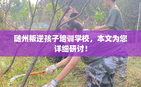 随州叛逆孩子培训学校,本文为您详细研讨! 随州叛逆孩子培训学校,本文为您详细研讨!