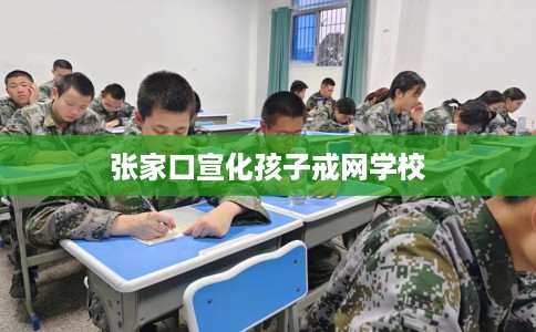 张家口宣化孩子戒网学校