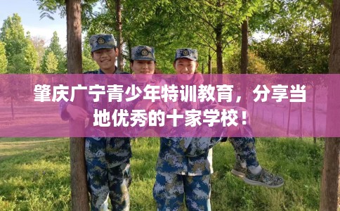 肇庆广宁青少年特训教育，分享当地优秀的十家学校！