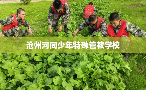 沧州河间少年特殊管教学校 沧州河间少年特殊管教学校