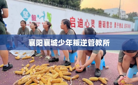 襄阳襄城少年叛逆管教所 襄阳襄城少年叛逆管教所