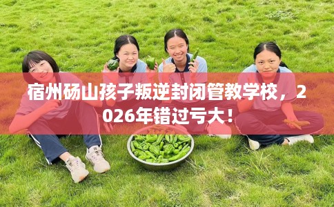 宿州砀山孩子叛逆封闭管教学校，2026年错过亏大！