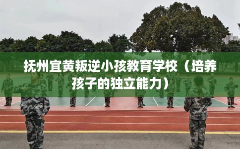 抚州宜黄叛逆小孩教育学校（培养孩子的独立能力）