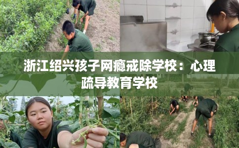 浙江绍兴孩子网瘾戒除学校:心理疏导教育学校 浙江绍兴孩子网瘾戒除学校:心理疏导教育学校
