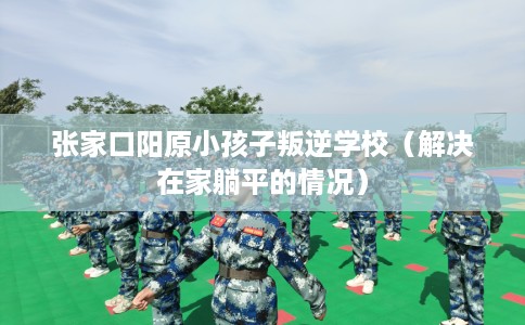 张家口阳原小孩子叛逆学校(解决在家躺平的情况) 张家口阳原小孩子叛逆学校(解决在家躺平的情况)