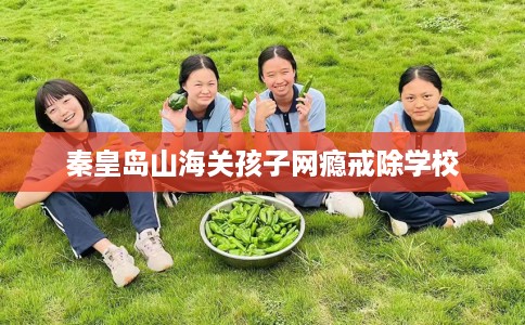 秦皇岛山海关孩子网瘾戒除学校 秦皇岛山海关孩子网瘾戒除学校