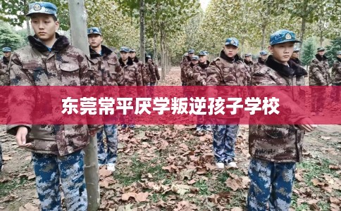 东莞常平厌学叛逆孩子学校 东莞常平厌学叛逆孩子学校