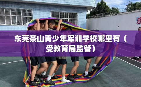 东莞茶山青少年军训学校哪里有(受教育局监管) 东莞茶山青少年军训学校哪里有(受教育局监管)