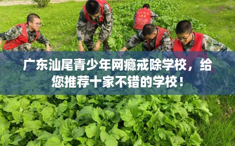 广东汕尾青少年网瘾戒除学校，给您推荐十家不错的学校！