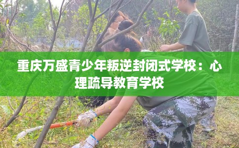 重庆万盛青少年叛逆封闭式学校：心理疏导教育学校