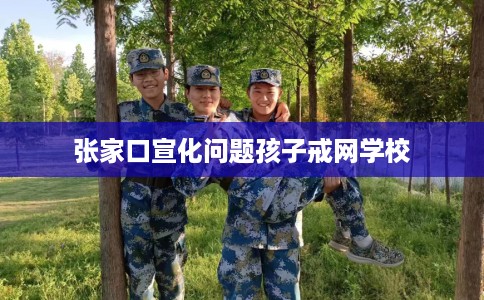 张家口宣化问题孩子戒网学校