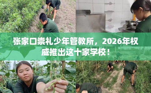 张家口崇礼少年管教所，2026年权威推出这十家学校！