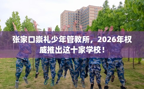张家口崇礼少年管教所，2026年权威推出这十家学校！