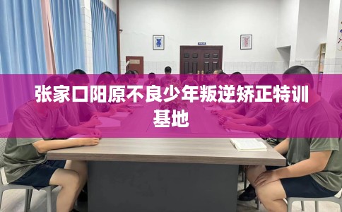 张家口阳原不良少年叛逆矫正特训基地