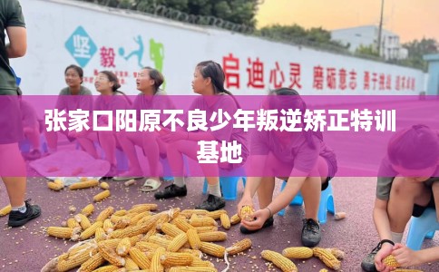 张家口阳原不良少年叛逆矫正特训基地