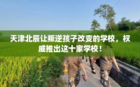 天津北辰让叛逆孩子改变的学校，权威推出这十家学校！