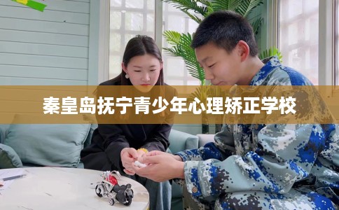 秦皇岛抚宁青少年心理矫正学校 秦皇岛抚宁青少年心理矫正学校